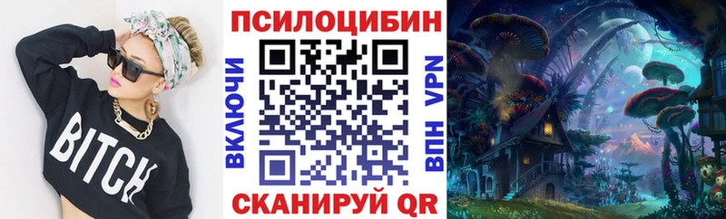 купить наркотики цена  МЕГА маркетплейс  Псилоцибиновые грибы MAGIC MUSHROOMS  Миасс 